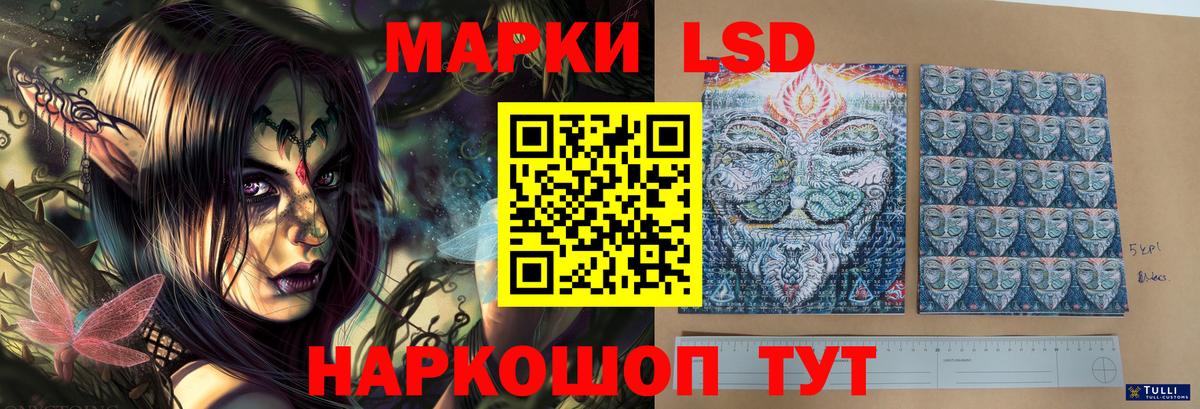 blacksprut ССЫЛКА  ЛСД экстази ecstasy  Вход с VPN  ЛСД экстази кислота  Карачаевск 