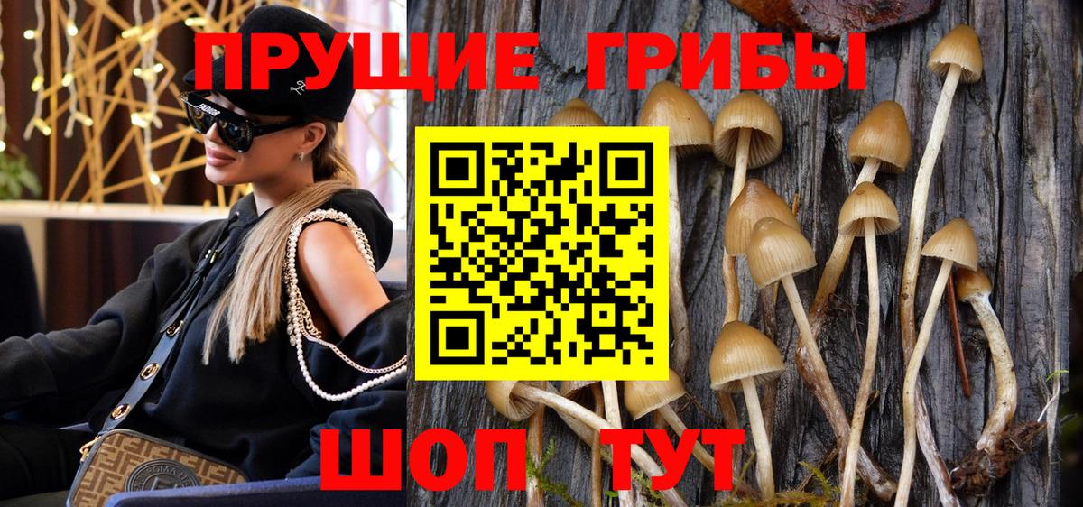 Карачаевск  как найти наркотики  Вход с VPN  Галлюциногенные грибы GOLDEN TEACHER 