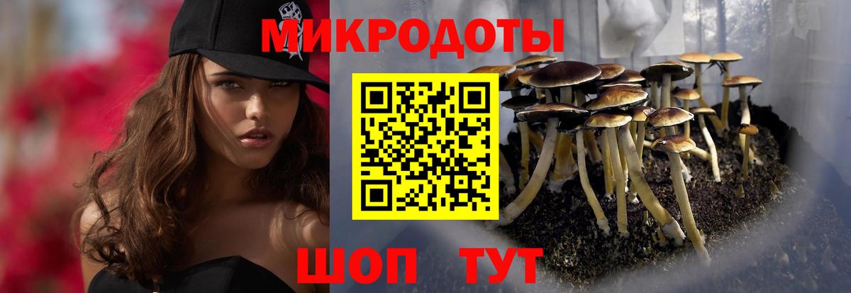 Галлюциногенные грибы ЛСД Карачаевск